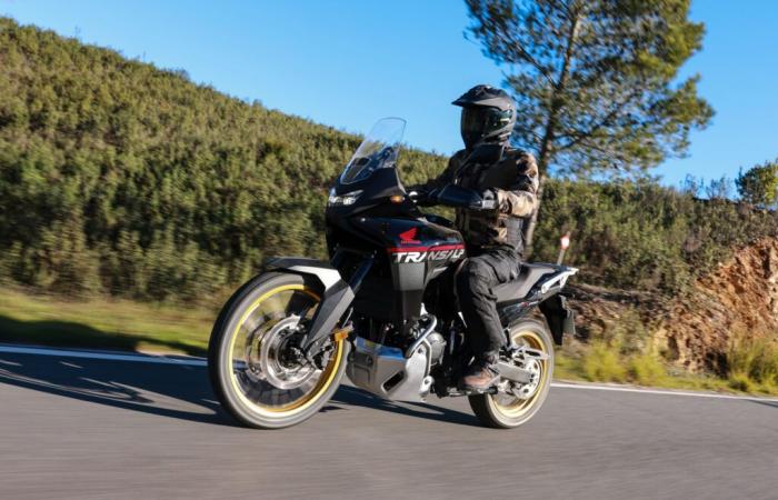 Honda XL750 Transalp, oubliez la version 2023