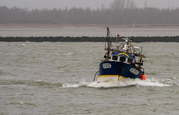 Un bateau de pêche se renverse, le corps d’un marin repêché en mer