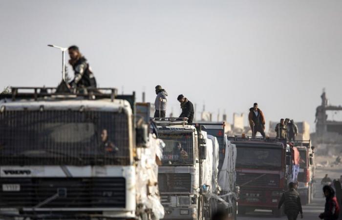 Plus de 900 camions d’aide humanitaire sont entrés à Gaza lundi