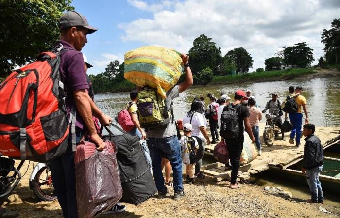 en Colombie, des affrontements impliquant la guérilla de l’ELN font plus de 80 morts et 11 000 déplacés