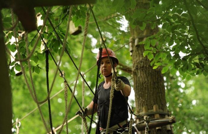 Indre-et-Loire. Un parcours accrobranche bientôt installé près de Tours ?