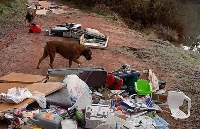 Un gisement sauvage crasseux découvert près d’un lac dans le Lot-et-Garonne, le dépositaire a été identifié