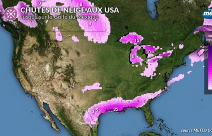 Chutes de neige historiques sur le golfe du Mexique