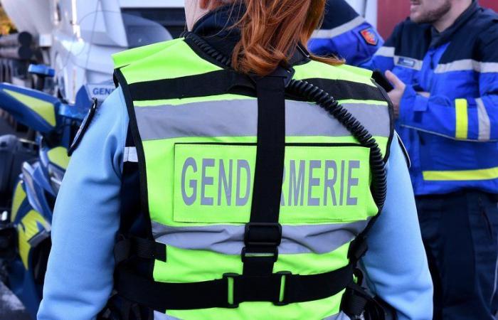 ce que l’on sait de l’enlèvement des deux frères, leur père arrêté