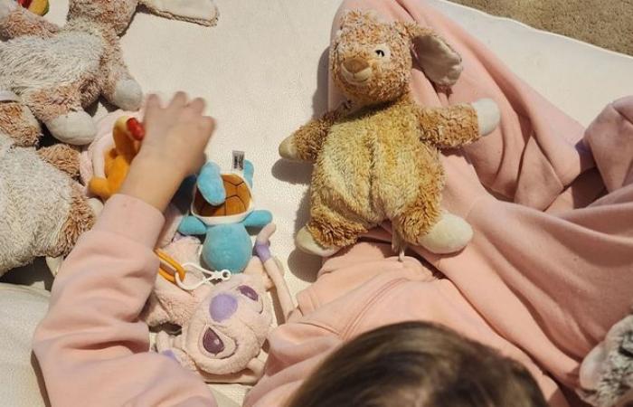 Son véhicule volé et brûlé, elle retrouve la peluche de sa fille autiste sur la banquette arrière