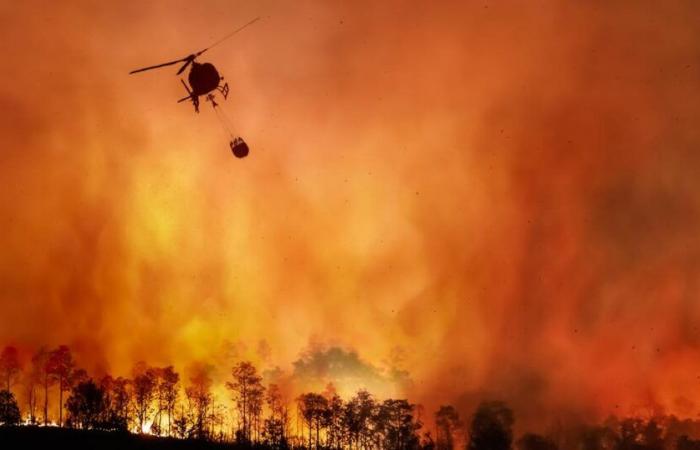 La superficie détruite par les incendies au Brésil a augmenté de 79 % en 2024