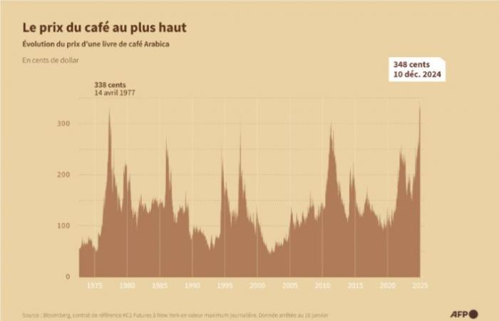 Quand la sécheresse au Brésil fait flamber le prix du café – 21/01/2025 à 13h10