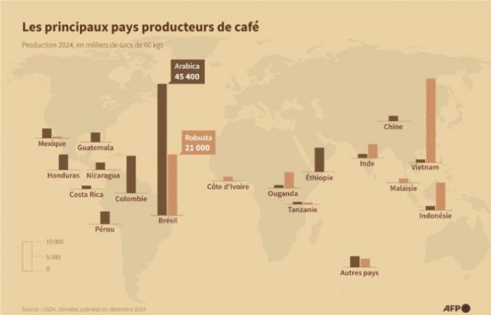 Quand la sécheresse au Brésil fait flamber le prix du café – 21/01/2025 à 13h10