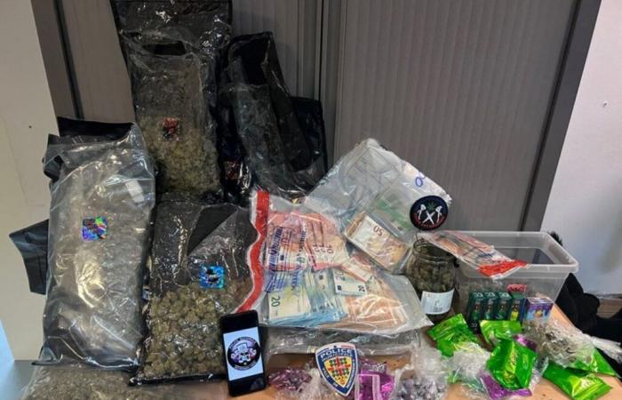 une « nounou » emprisonnée, 32 kg de cannabis saisis dans son appartement