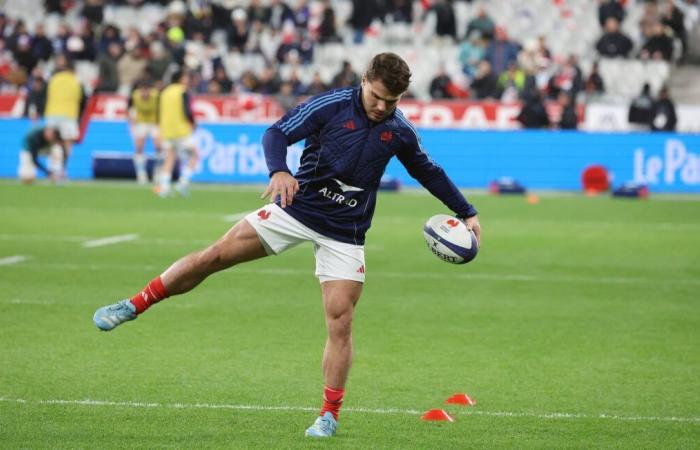 Antoine Dupont est déçu du bilan des Bleus « compte tenu de leur potentiel »