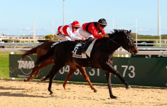 Le 21/01 à Cagnes – Campelo succède à Almiro