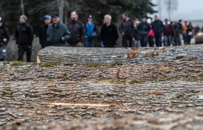 La Gruyère | En bonne voie pour le 8ème piquet de bois