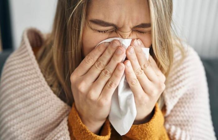 Appel à la vaccination avant le pic des cas de grippe en Outaouais