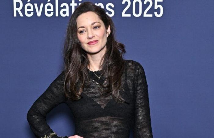 Marion Cotillard et sa longue robe transparente Chanel captivent le soir des César Révélations