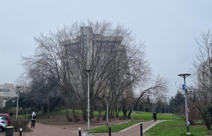 le témoignage glaçant d’une magistrate victime d’une tentative de viol à Créteil