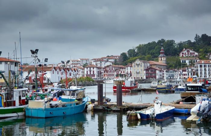 la pêche interdite pour sauver les dauphins