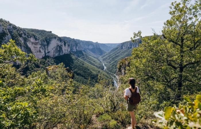 10 hébergements où télétravailler en Lozère — Chilowé