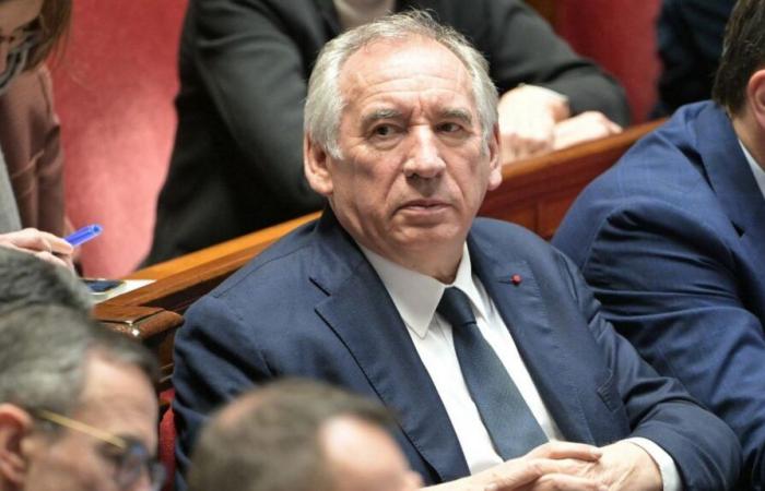 François Bayrou souhaite examiner deux textes, un sur les soins palliatifs et un autre sur l’aide active à mourir