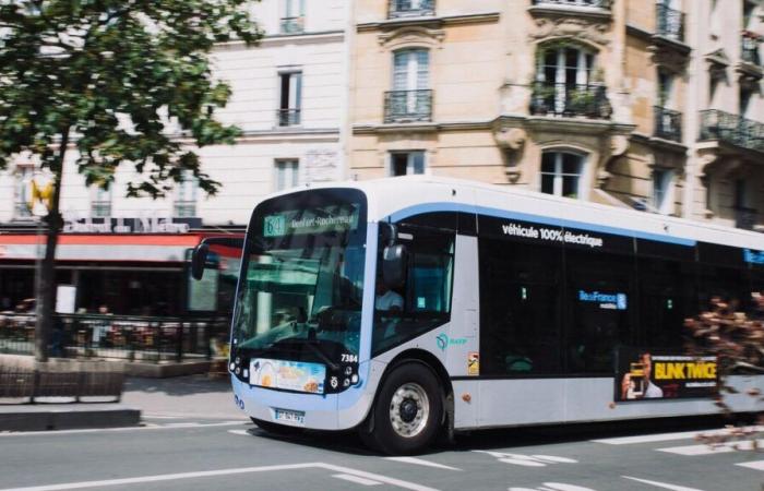 un sans-abri entre la vie et la mort après être tombé sous les roues d’un bus