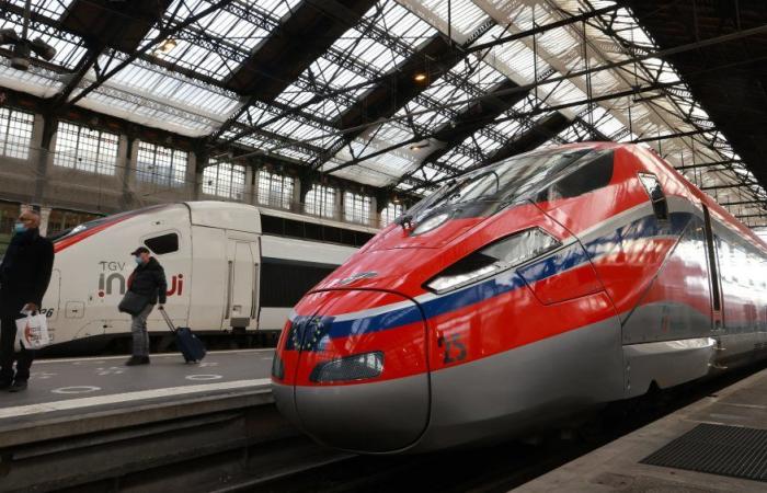 Trenitalia annonce 4 allers-retours TGV par jour, ils passeront par Aix et Avignon