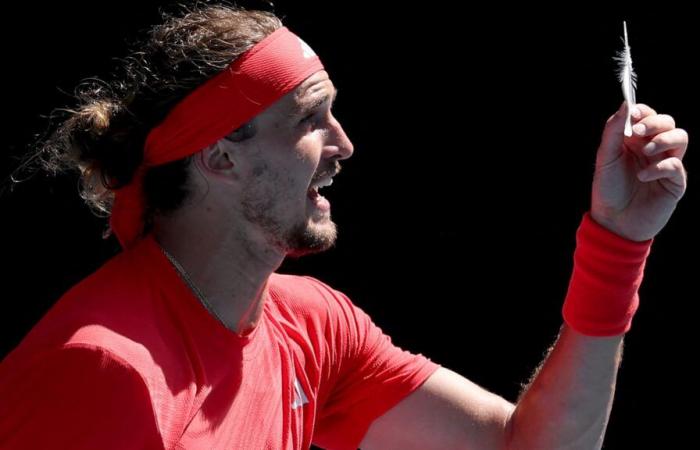 “Es-tu fou ?”, la colère de Zverev contre l’arbitre qui a arrêté un point à cause d’une plume