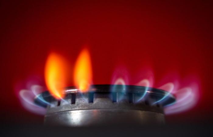 Le marché mondial du gaz devrait être tendu en 2025