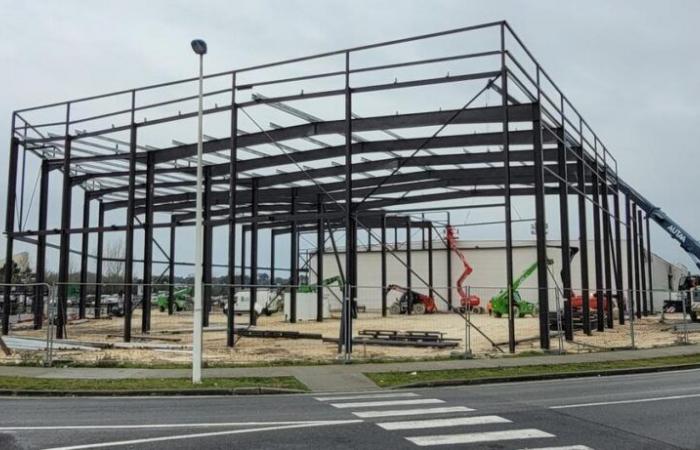 L’ancien champion de basket Boris Diaw investit dans un projet de padel près de Bordeaux