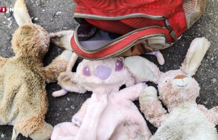 une mère retrouve la peluche de sa fille autiste dans sa voiture volée et incendiée