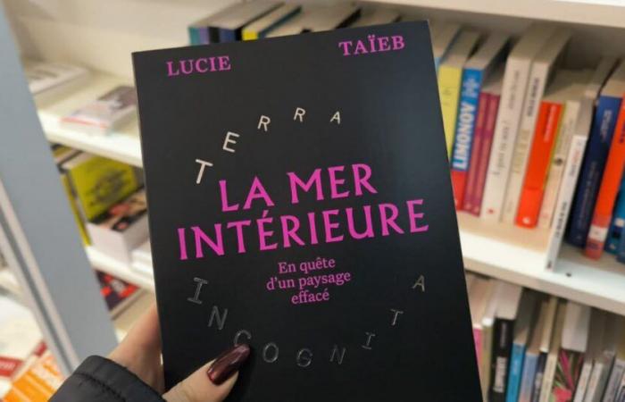 le jury Bitchois choisit « La Mer Intérieure » pour la finale