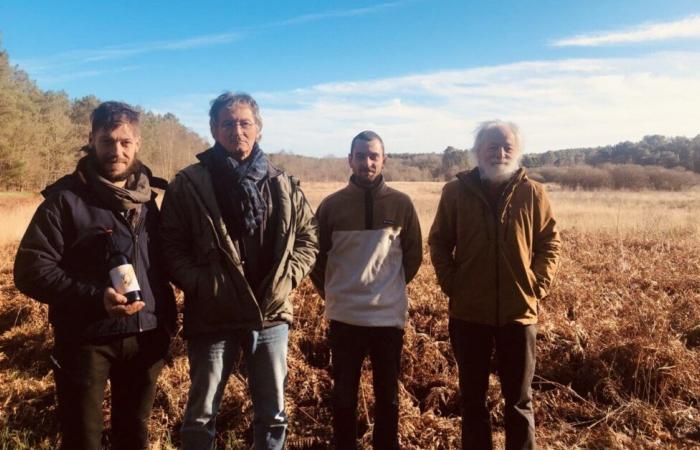 ils lancent une bière avec une plante ancestrale qui ne pousse que dans cette tourbière