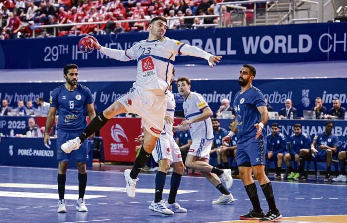 Ludovic Fabregas, le nouveau capitaine de l’équipe de France de handball, est unanime