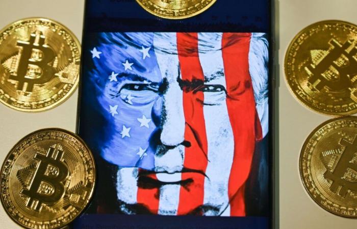 « Shit coin », « une caricature »… Pourquoi il faut se méfier de la cryptomonnaie du président américain