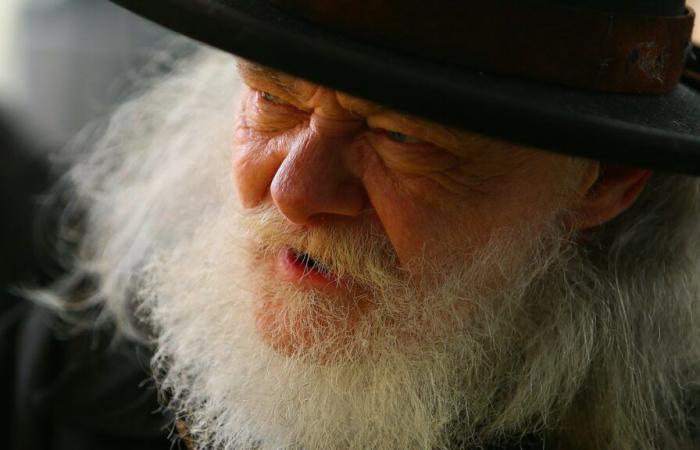 Garth Hudson, dernier membre original du groupe de rock canadien « The Band », est décédé