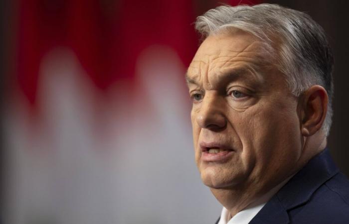 Avec le retour de Trump, Orban estime que les forces nationalistes doivent « occuper » Bruxelles