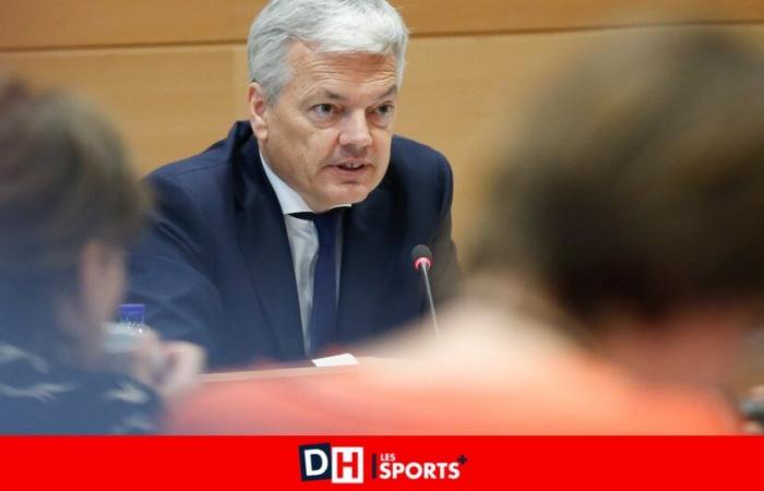 Le Parlement va organiser une « commission Reynders » dans le cadre de l’affaire de blanchiment d’argent de l’ancien commissaire européen