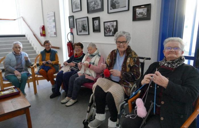 ils habilleront les arbres de leur ville