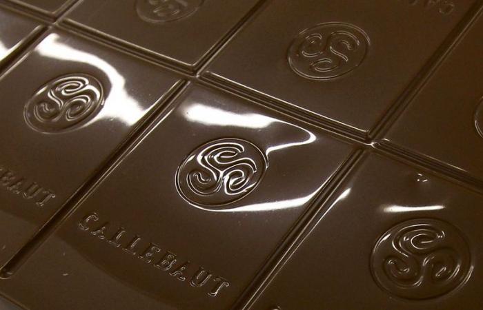 Les volumes chutent au premier trimestre avec la flambée des prix du cacao