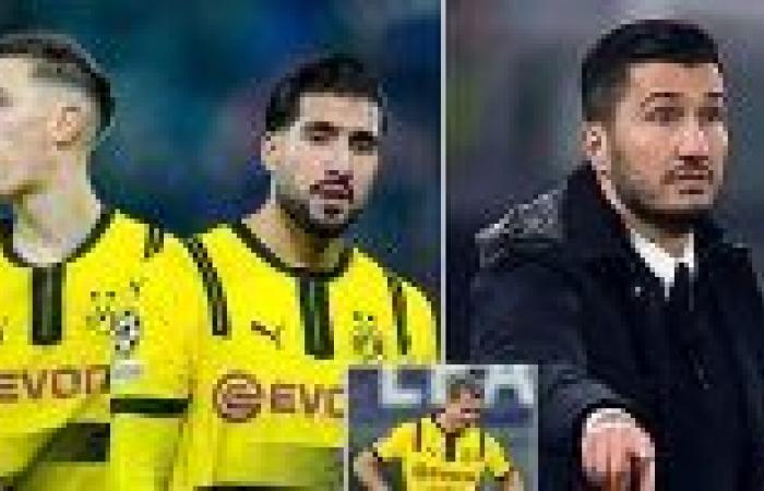 Nuri Sahin a été démis de ses fonctions d’entraîneur du Borussia Dortmund