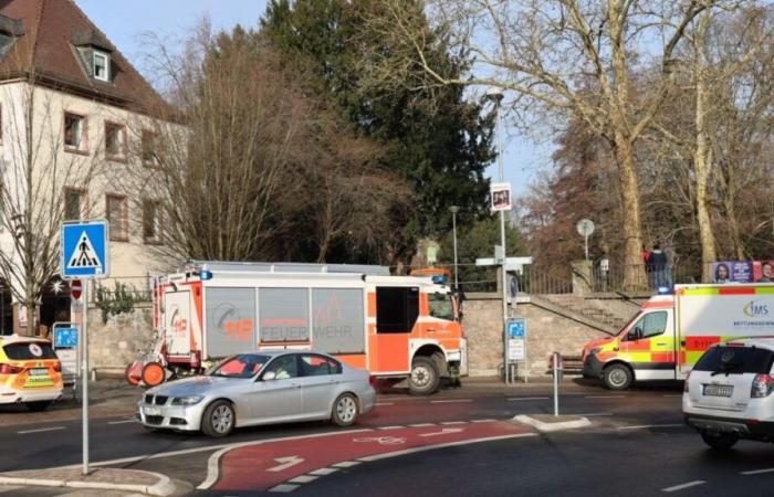 Deux morts dans une attaque au couteau dans un parc – la police arrête un suspect