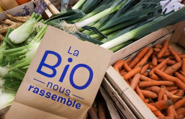 Les producteurs inquiets de l’annonce de la suppression de l’Agence Bio