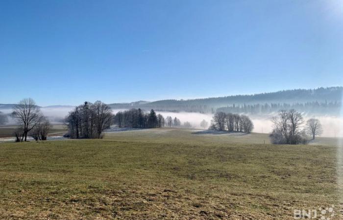 «La Promenade du Jura» à Genève