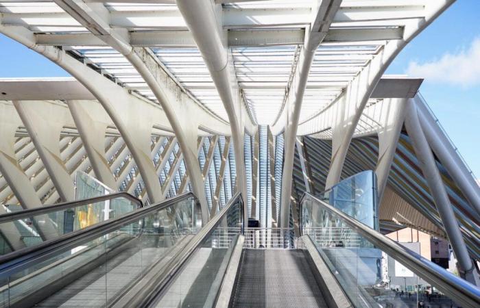 Trop d’escaliers mécaniques et de tapis roulants à la gare des Guillemins #panne