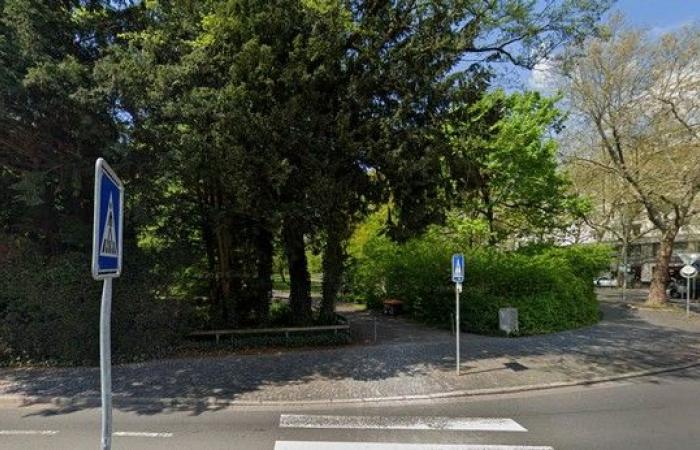 Une attaque au couteau dans un parc allemand fait deux morts, dont un enfant de 2 ans