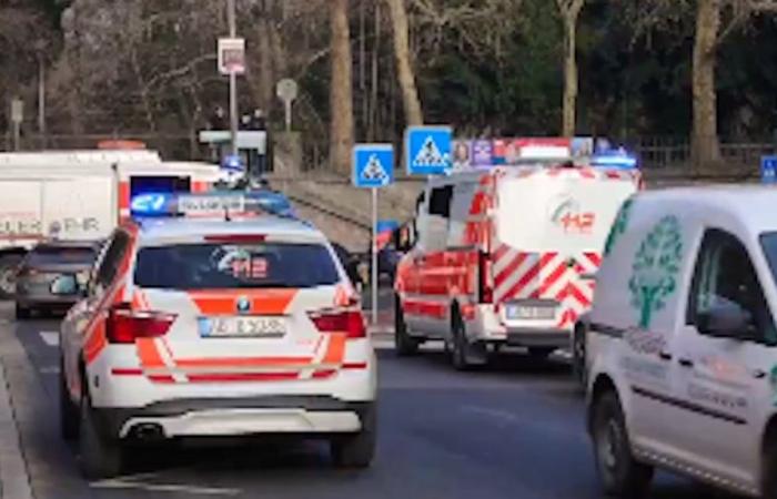 Un enfant de 2 ans et un homme poignardés à mort dans un parc