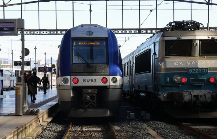 Circulation ferroviaire interrompue entre Marseille et Nice après le décès d’un ouvrier sur un chantier de la SNCF à Toulon