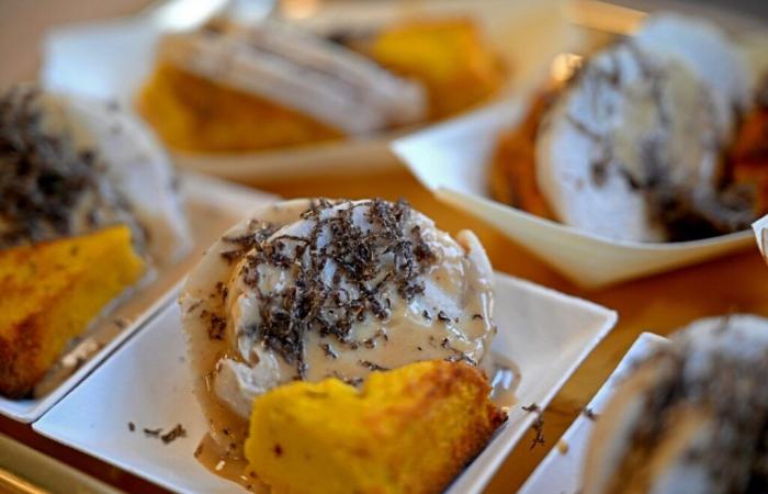 Drôme. La 2ème édition de la Foire de la Truffe, du Vin et du Chocolat attend les gourmets de Valence