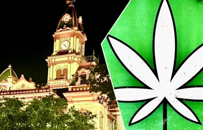 Les défenseurs du cannabis s’affrontent avec le conseil municipal de Lockhart et prévoient une manifestation contre la pizza contre l’ordonnance sur la marijuana