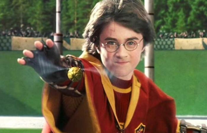 Un célèbre acteur de la saga Harry Potter sera présent à Lyon en février