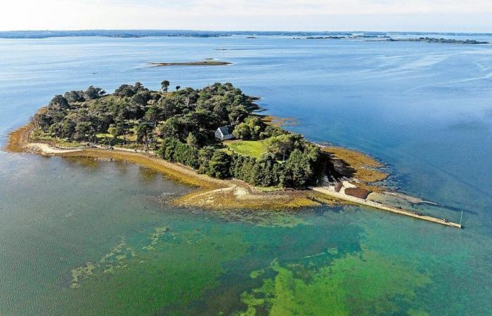 Dans le Golfe du Morbihan, l’Île Bailleron, un lieu unique à l’avenir incertain