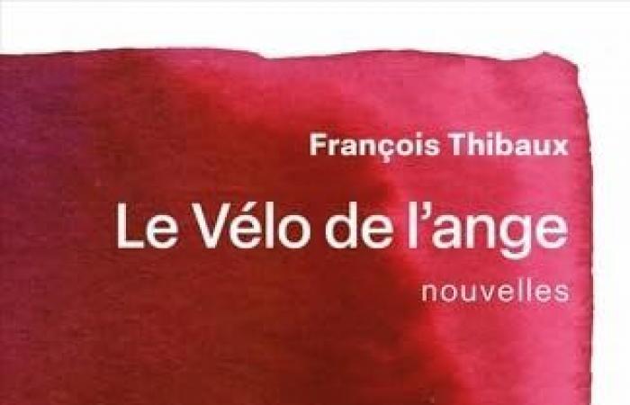 Les mondes brefs de François Thibaux